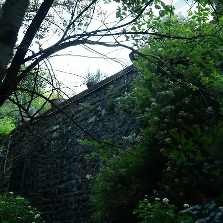 Mulino Di Castelvecchio